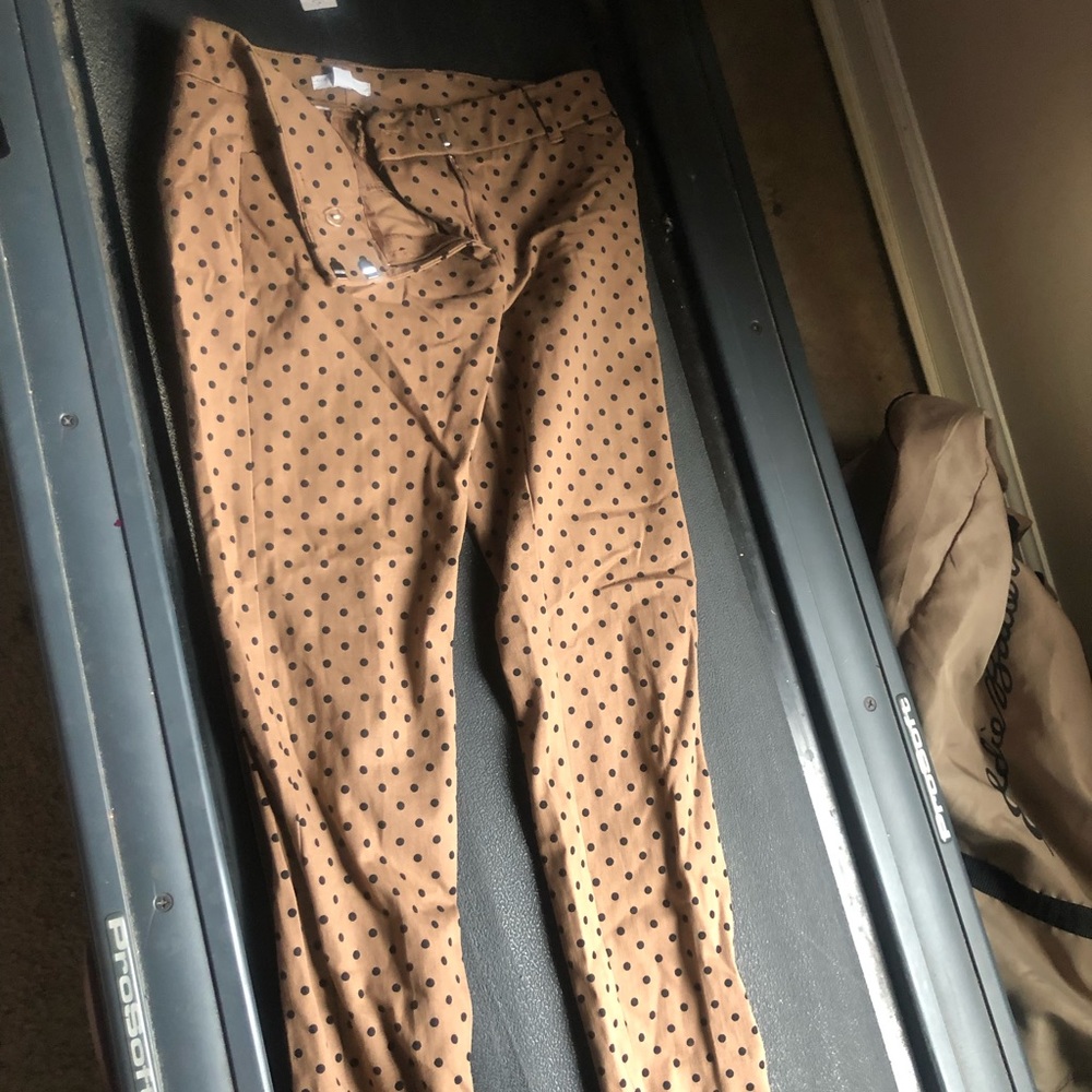 New York and company size 2 polka
